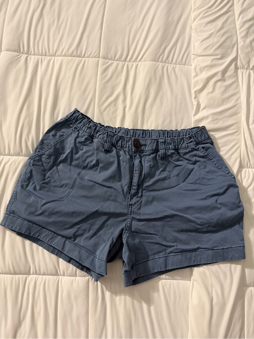Men’s Chubbies “The Cobblestone” 4in Shorts Size M